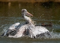 24 Tiere-Zoom-Erlebniswelt-D33_7053